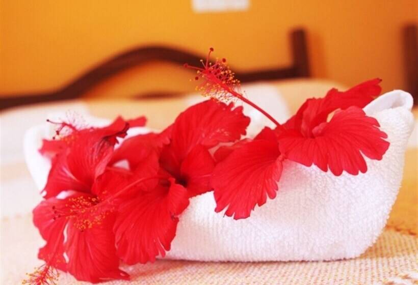 酒店 Pousada Ancoradouro