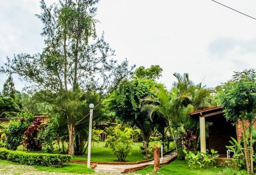 酒店 La Dolce Vita