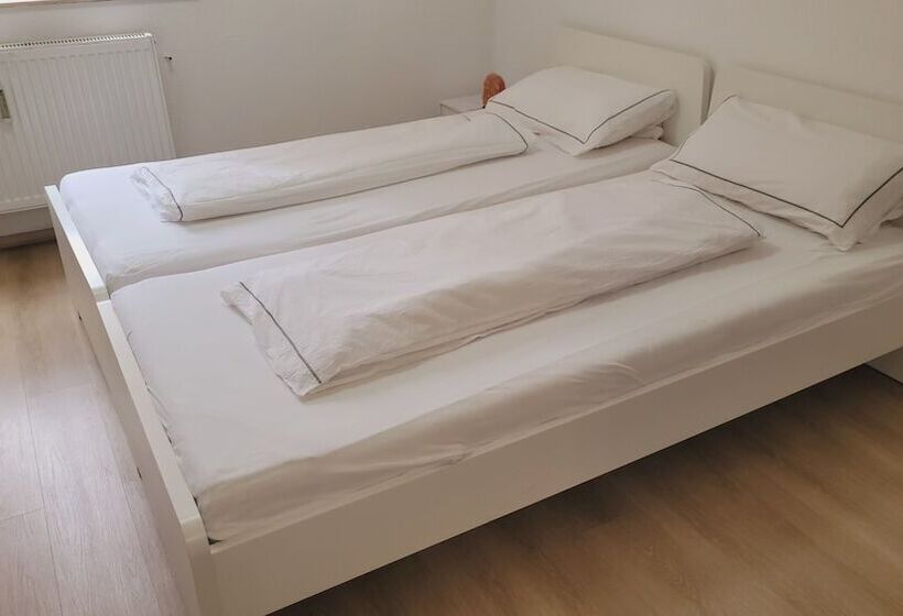 Отель Saarbrücken City Apartments