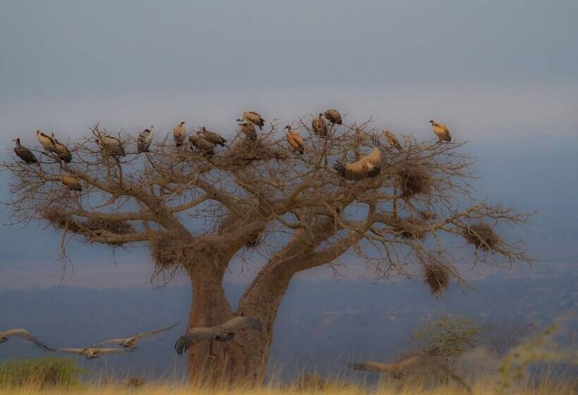 فندق Simbamwenni Lodge And Camping