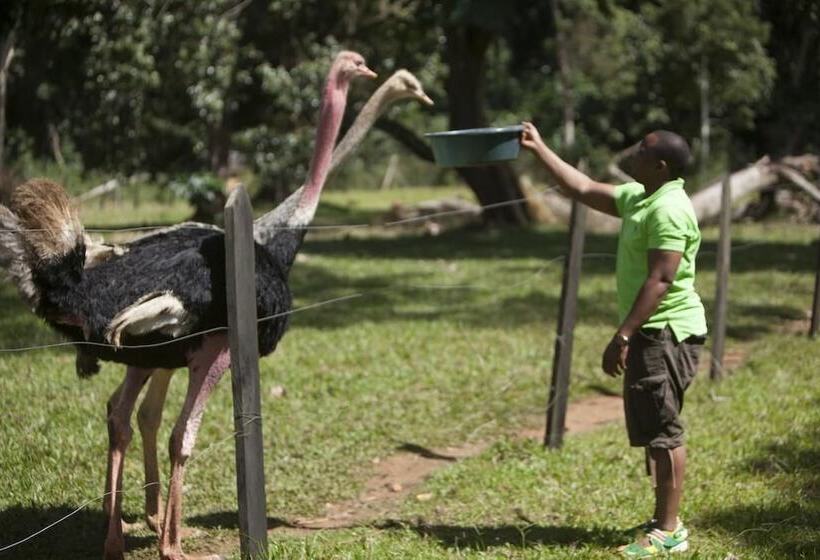 هتل Ssese Habitat Resort