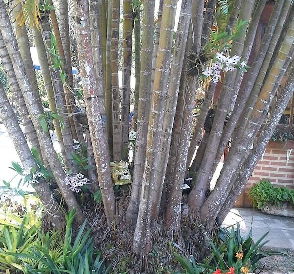 호텔 Suites Em Meio A Mata Atlantica