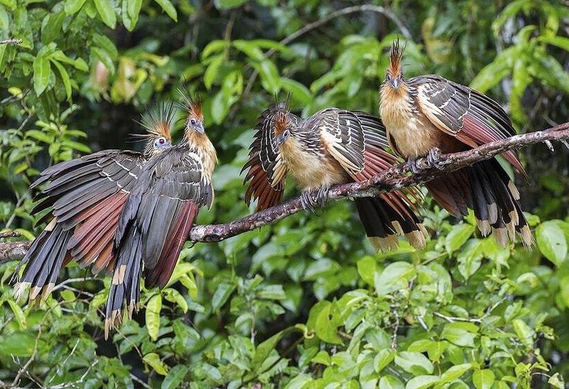 هتل Tambopata Ecolodge