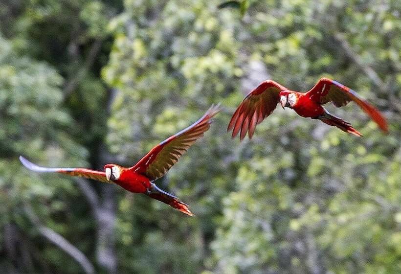 هتل Tambopata Ecolodge