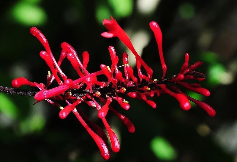 هتل Tambopata Ecolodge