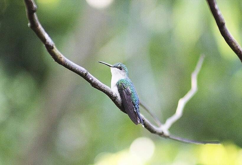 هتل Tambopata Ecolodge