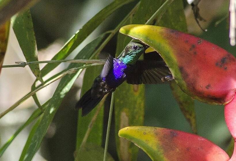هتل Tambopata Ecolodge