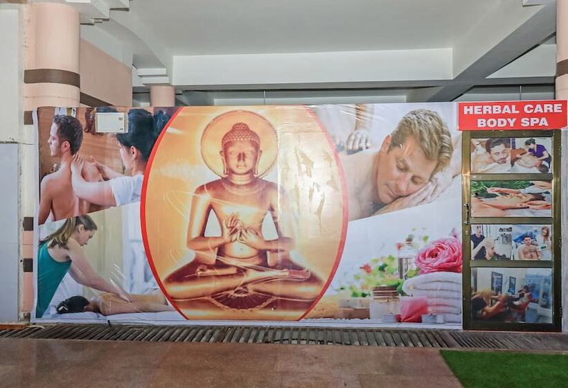 Отель Treebo Raj Garden, Near Pushkar Lake