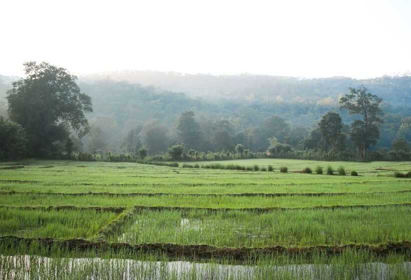 ホテル Tropicalfolks Campers Lodge