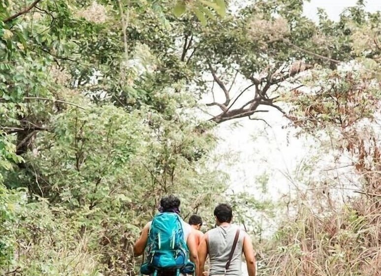 ホテル Tropicalfolks Campers Lodge