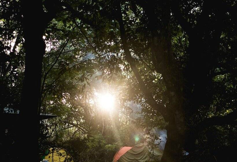 ホテル Tropicalfolks Campers Lodge