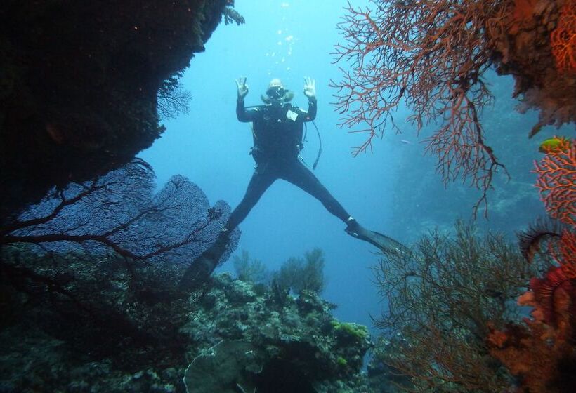 호텔 Viani Bay Resort At Dive Academy Fiji