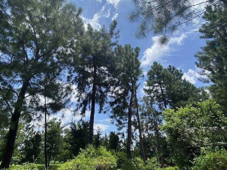 هتل Villa Cbt Flamingo Dai Lai