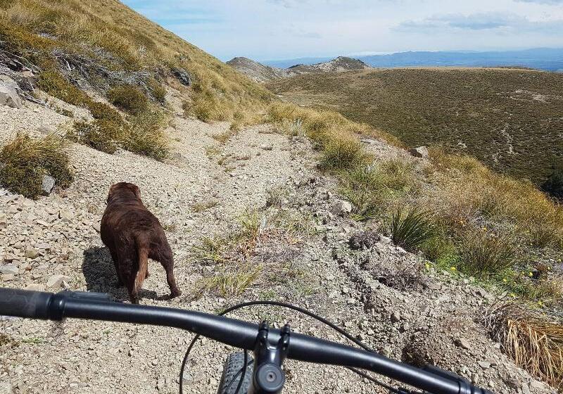 Lake Stella Mountain Huts