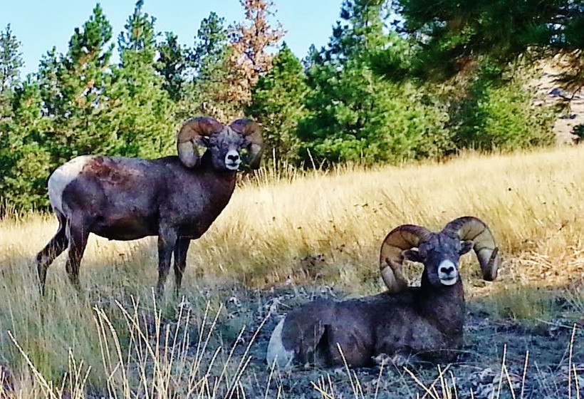 فندق على الطريق Little Hiltinns Egm