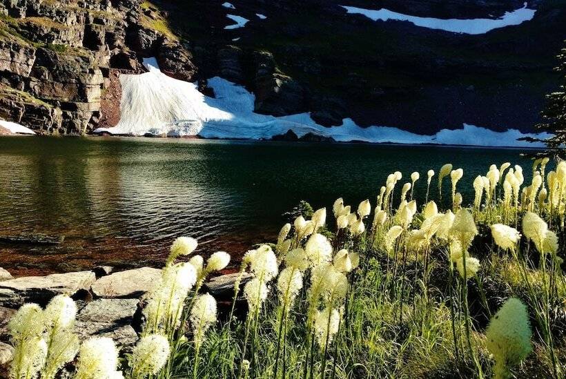 فندق على الطريق Little Hiltinns Egm