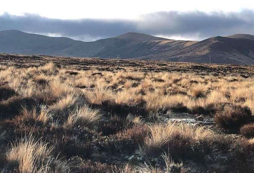 فندق على الطريق Waiouru Welcome Inn