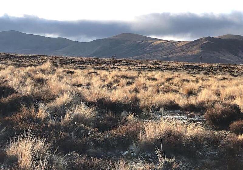 فندق على الطريق Waiouru Welcome Inn