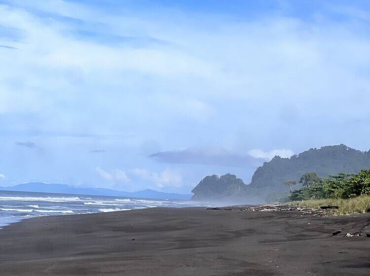 Ola Bonita Beachfront Apart