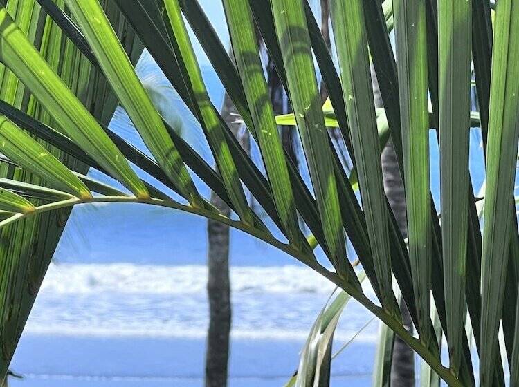 Ola Bonita Beachfront Apart