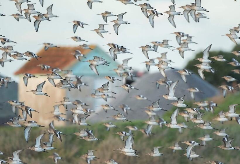 Пансион Beach House Babylon