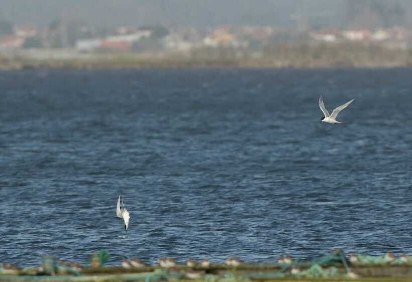 Пансион Beach House Babylon