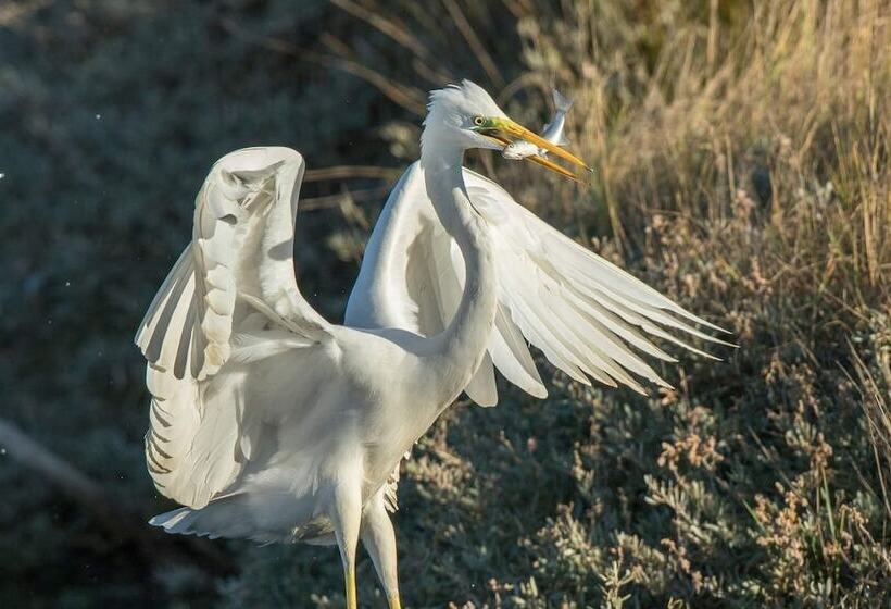 Пансион Beach House Babylon