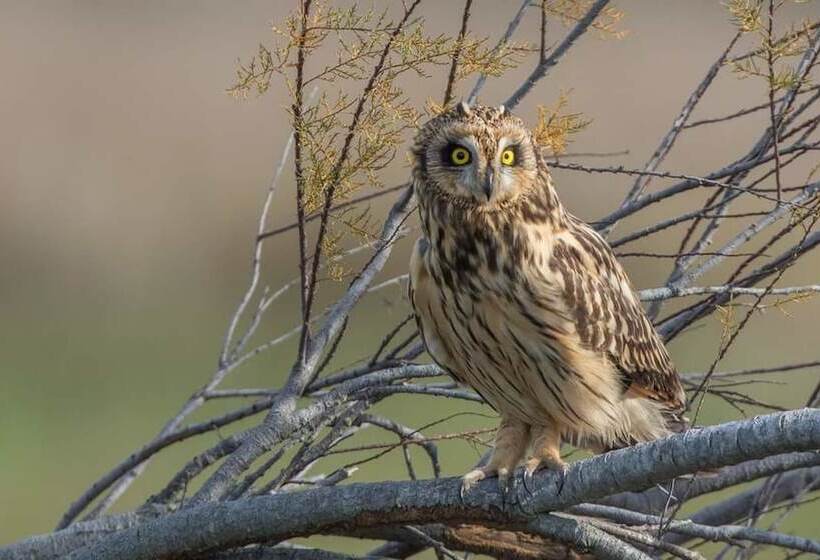 Пансион Beach House Babylon