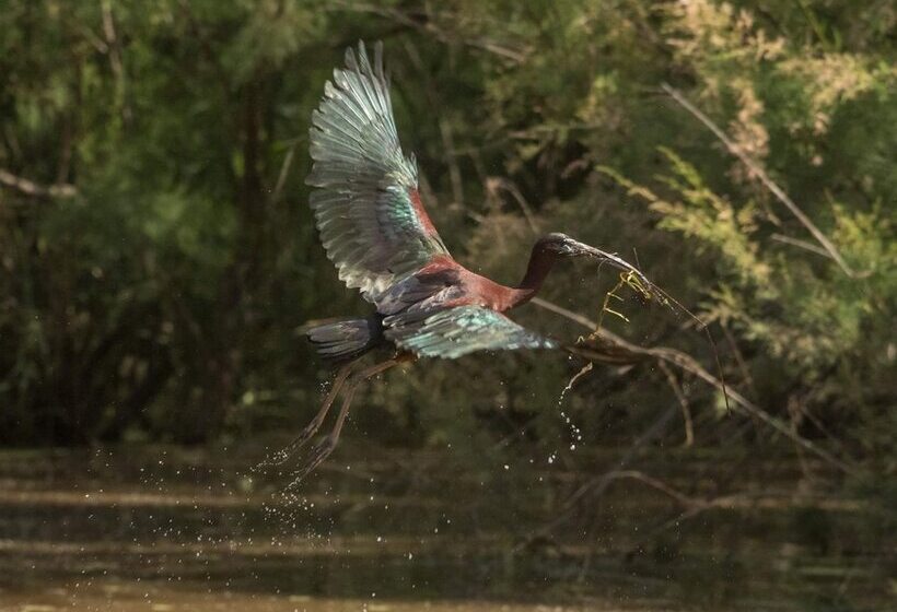 Пансион Beach House Babylon