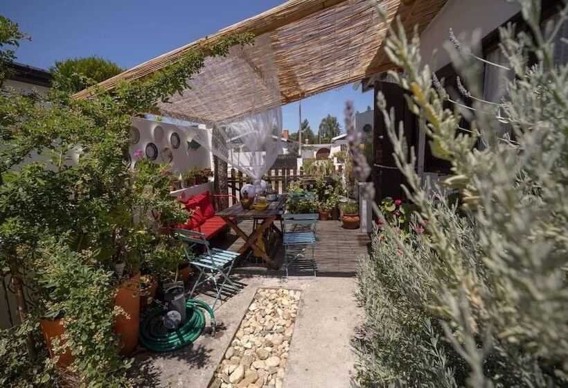 Пансион Beach House Babylon