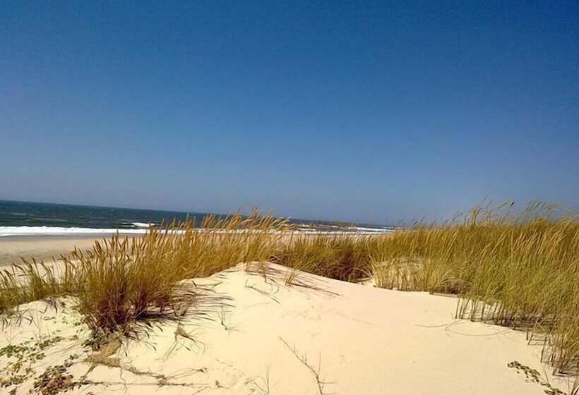 Пансион Beach House Babylon