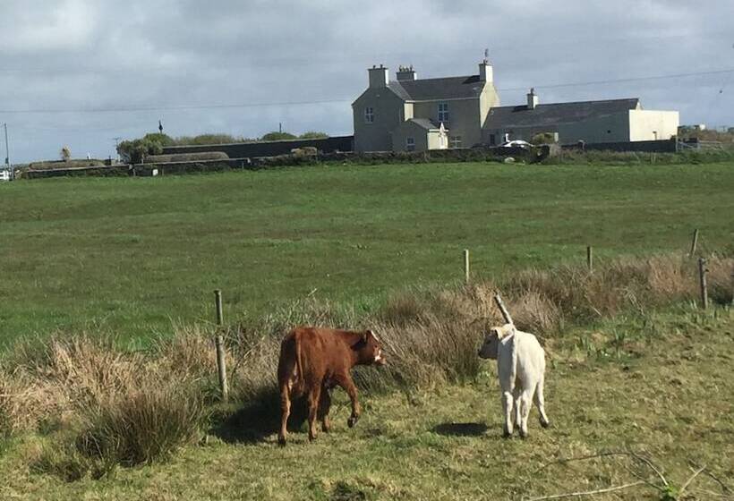 بنسيون Berrylodge Country House