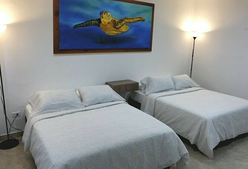 膳宿费 Isabella De Indias