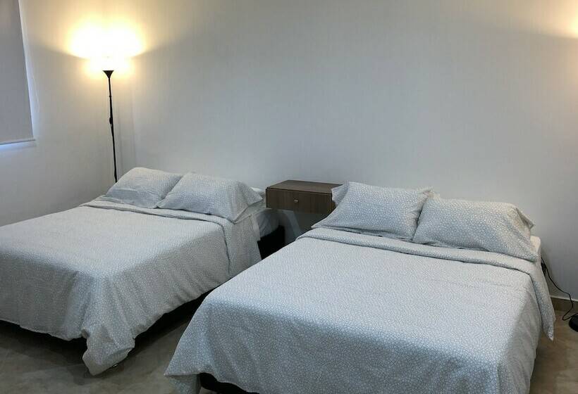 膳宿费 Isabella De Indias