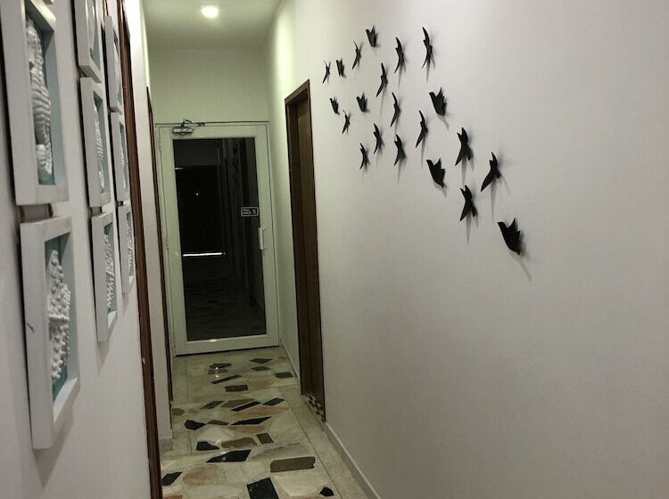 膳宿费 Isabella De Indias