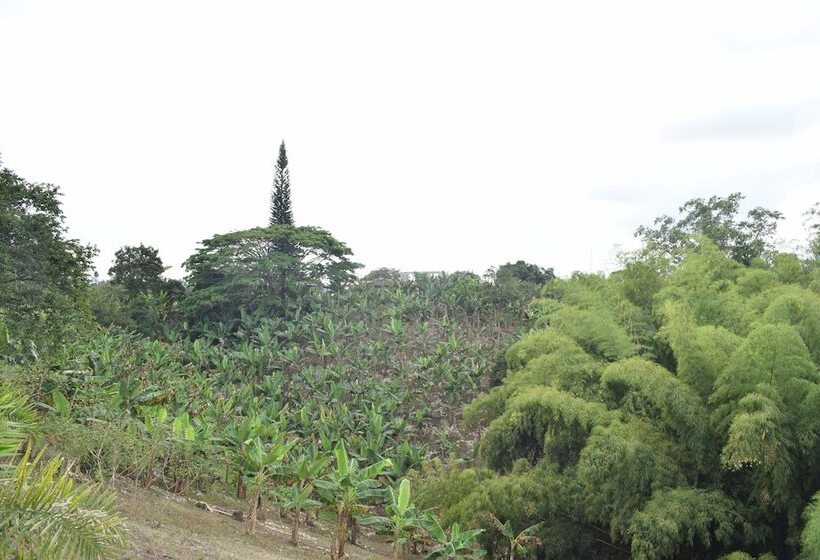 펜션 Kamal Country House