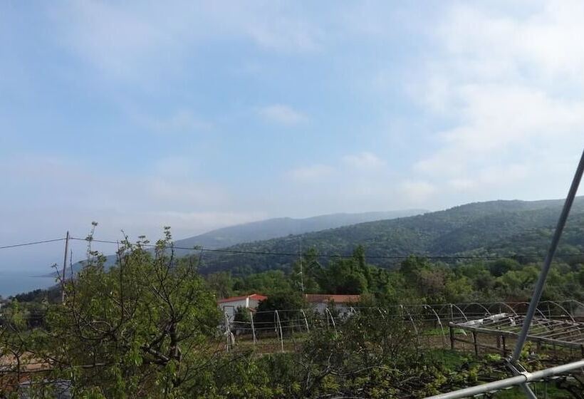 פנסיון Paradies