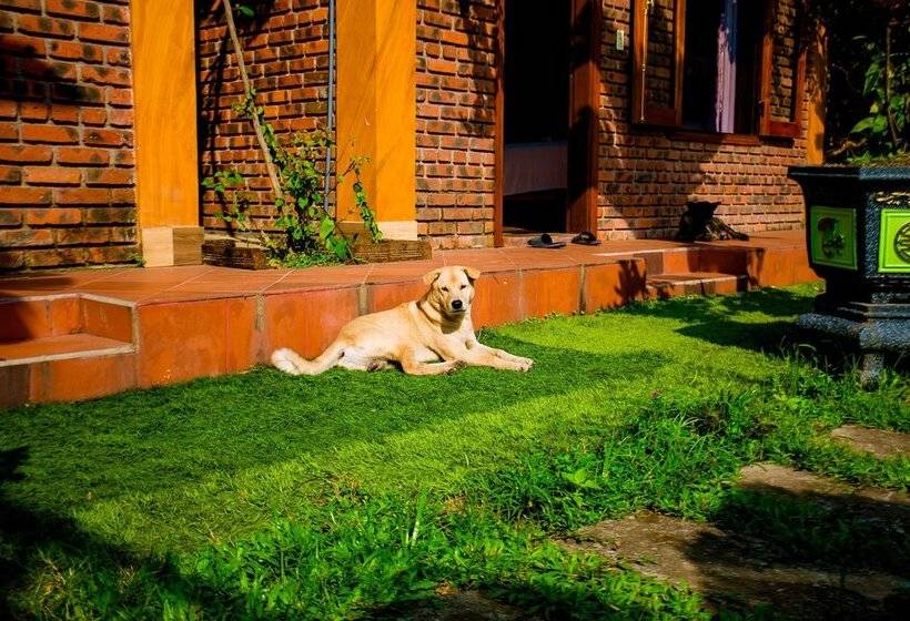 پانسیون Phong Nha Hillside View Bungalow
