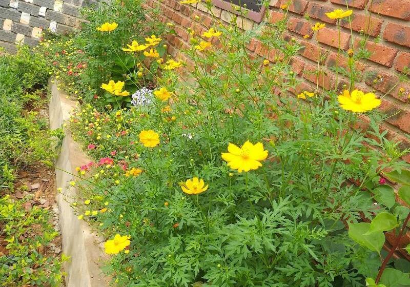 پانسیون Phong Nha Hillside View Bungalow