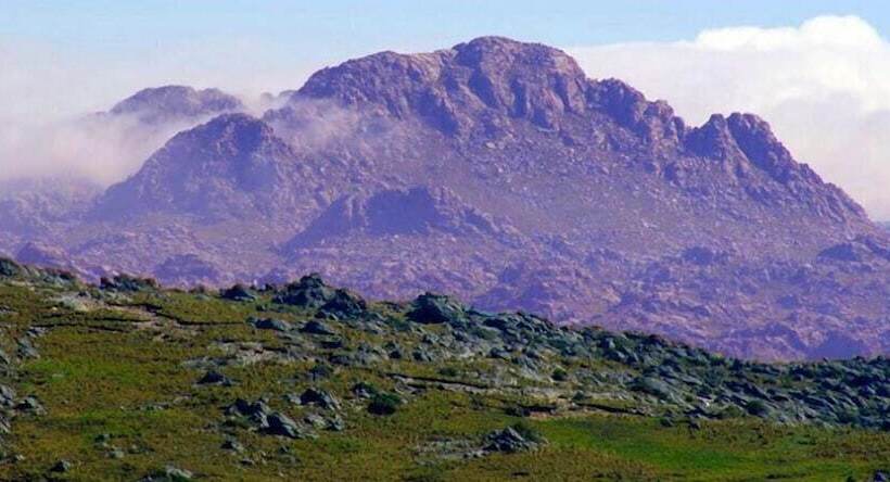 פנסיון The Gringos