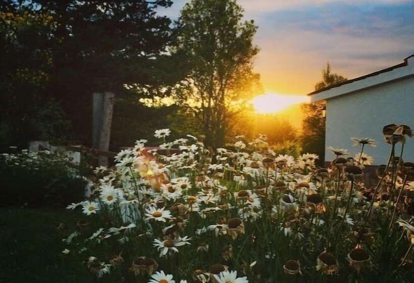 פנסיון The Gringos