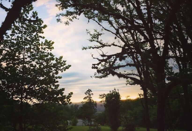 פנסיון The Gringos