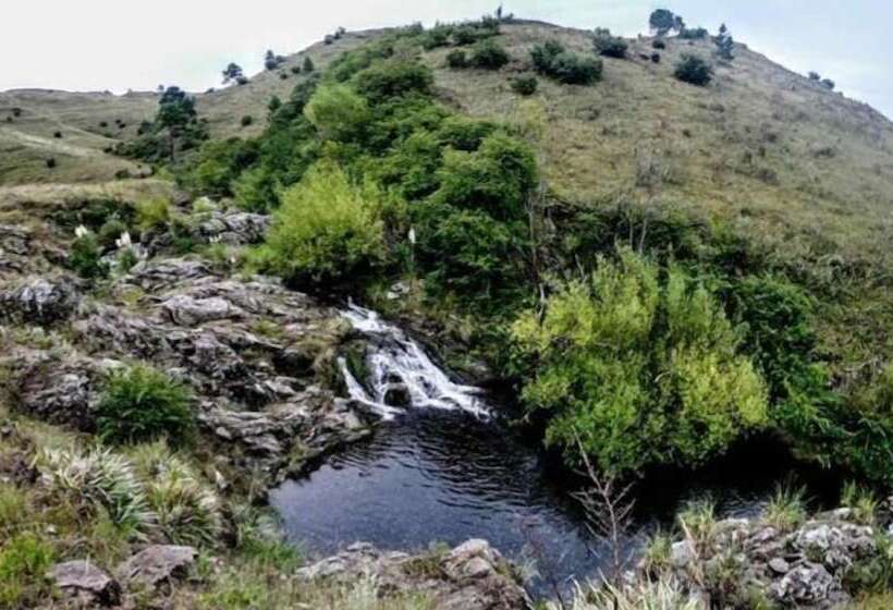 פנסיון The Gringos