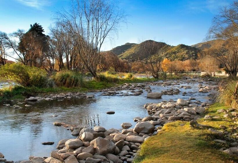 פנסיון The Gringos