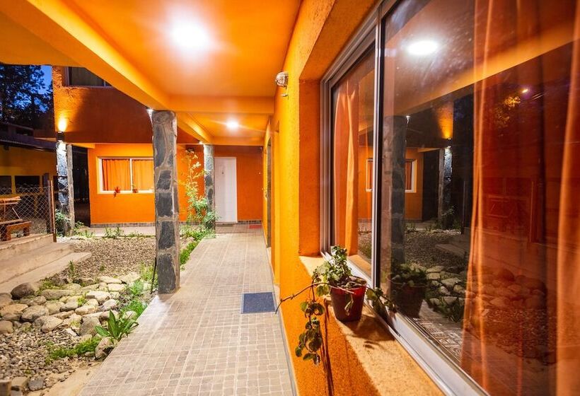 פנסיון The Gringos