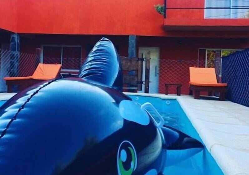 פנסיון The Gringos