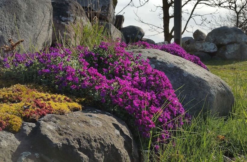 Som Hemma Gardscafe Bed & Breakfast