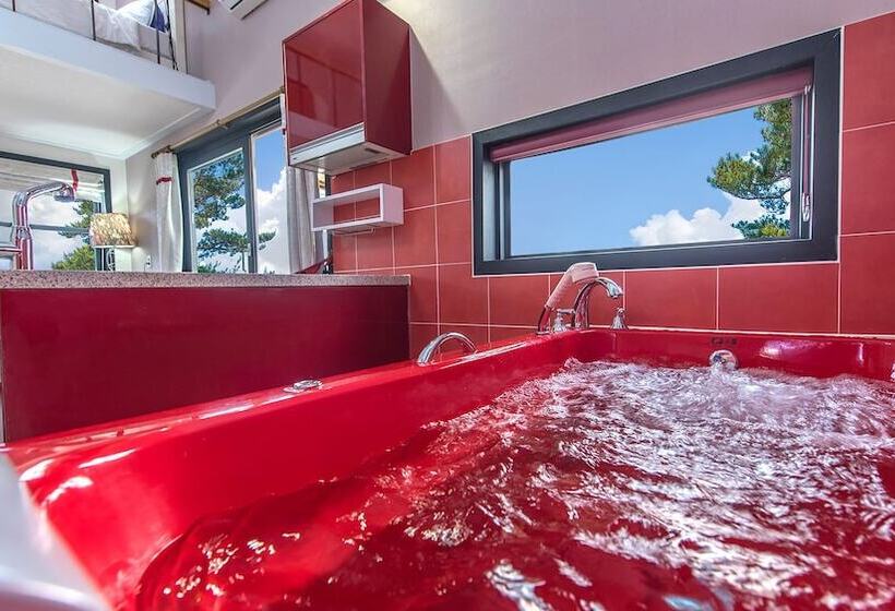 Taean Solmi Label Pension