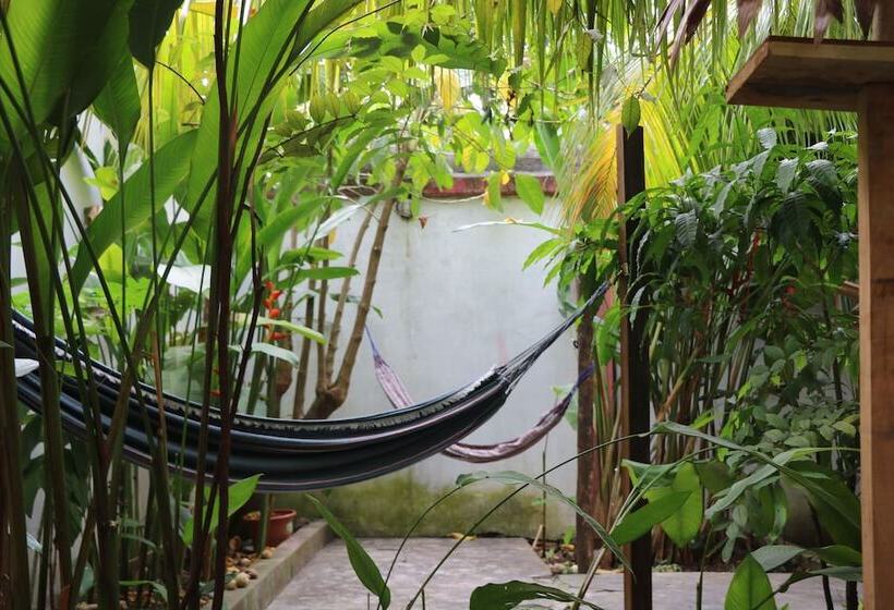 The Amazon Within Hostel