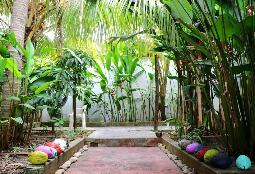 The Amazon Within Hostel